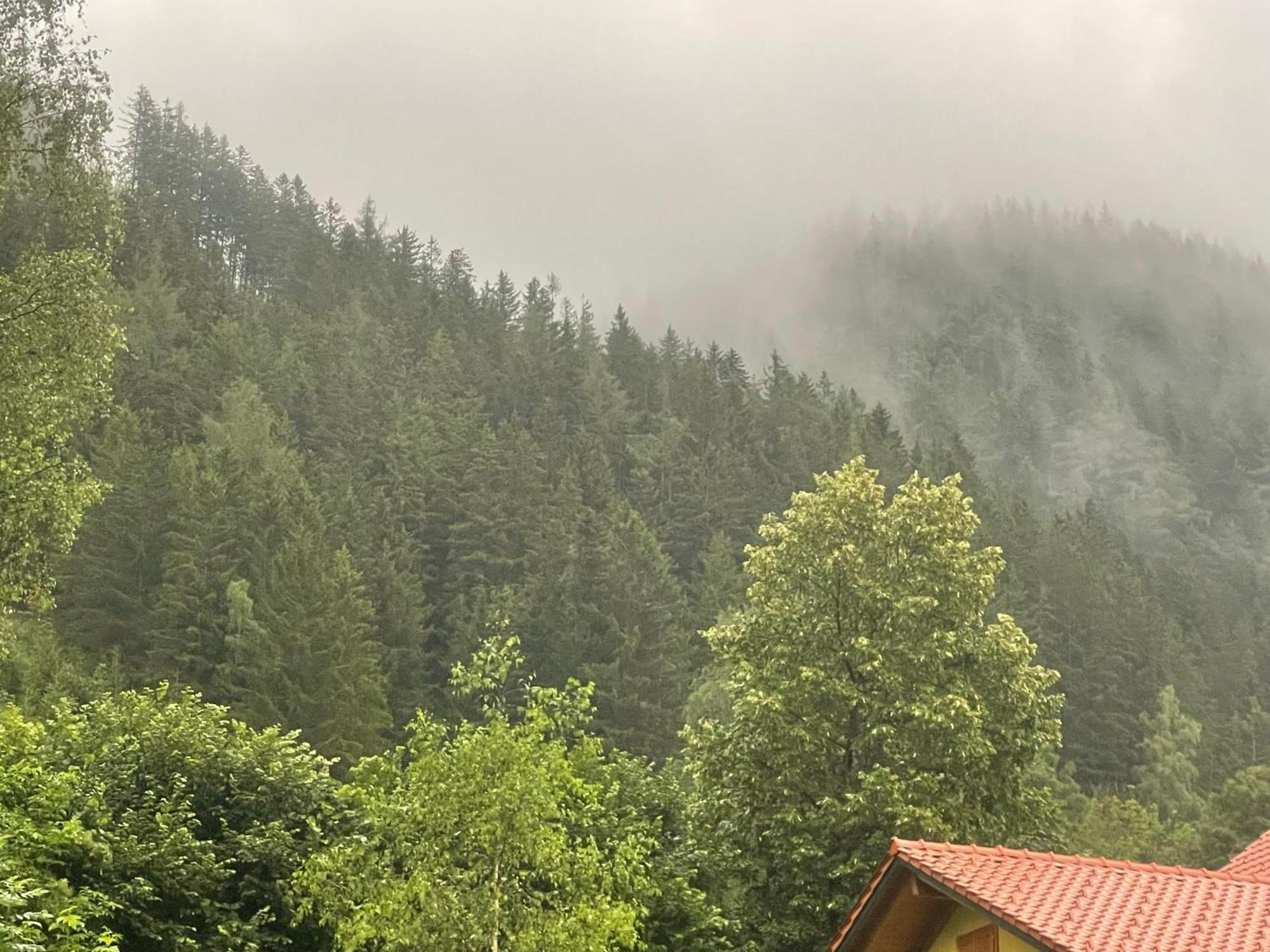 Gruener See Exklusiv Oberort المظهر الخارجي الصورة